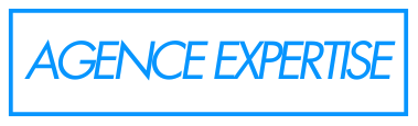 agence expertise logo